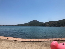 ΑΡΤΕΜΙΔΑ ΟΙΚΟΠΕΔΟ 1000ΤΜ