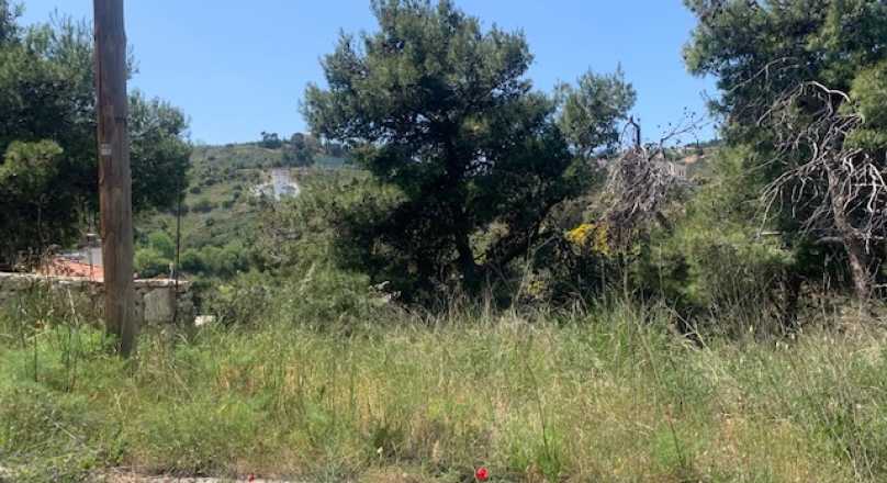 ΝΤΡΑΦΙ ΟΙΚΟΠΕΔΟ 1.000 Τ.Μ.