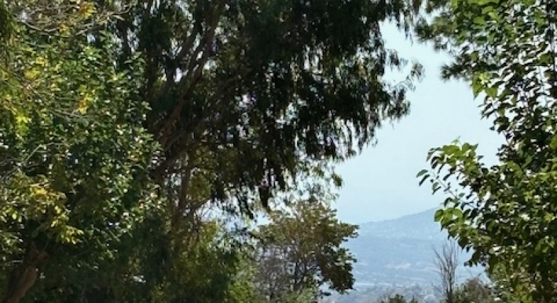 ΝΤΡΑΦΙ ΟΙΚΟΠΕΔΟ 1000ΤΜ