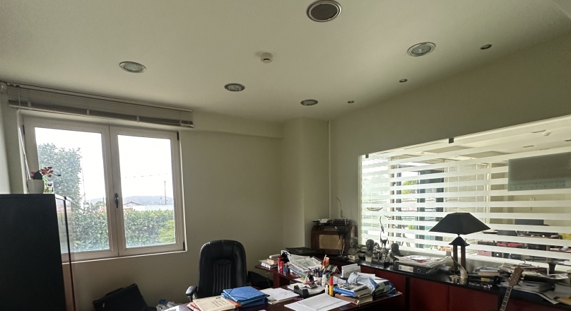 ΠΑΛΛΗΝΗ ΑΙΘΟΥΣΑ 60ΤΜ