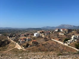 ΔΙΩΝΗ ΑΓΙΟΣ ΣΠΥΡΙΔΩΝΑΣ ΟΙΚΟΠΕΔΟ 1000ΤΜ