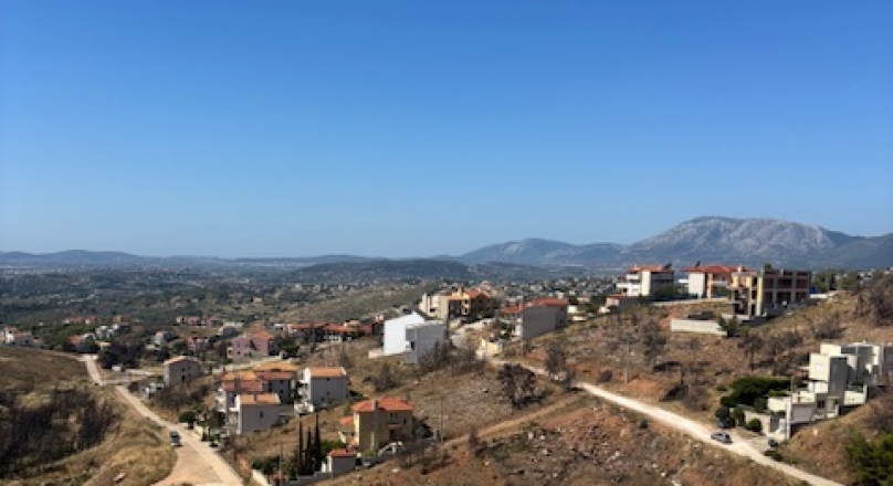 ΔΙΩΝΗ ΑΓΙΟΣ ΣΠΥΡΙΔΩΝΑΣ ΟΙΚΟΠΕΔΟ 1000ΤΜ