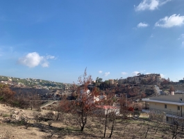 ΝΤΡΑΦΙ ΟΙΚΟΠΕΔΟ 1.400 Τ.Μ.